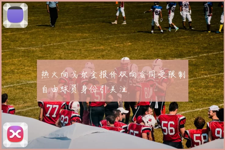 热火向戈尔金报价双向合同受限制自由球员身份引关注