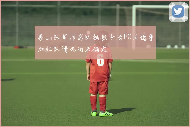 泰山队军师离队执教今治FC马德鲁加归队情况尚未确定